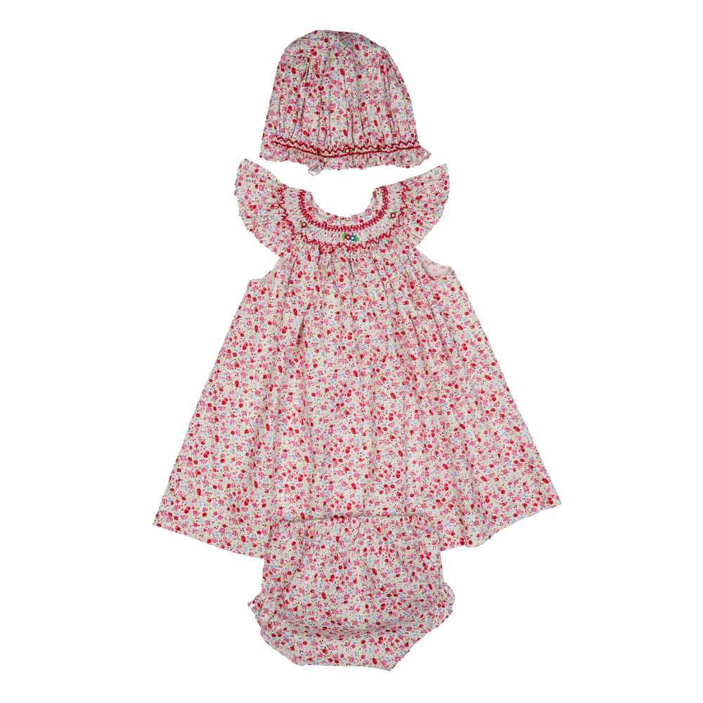 Pink & Red Smocked Angel Wing Sleeve Dress with Beautiful Smocked Bonnet