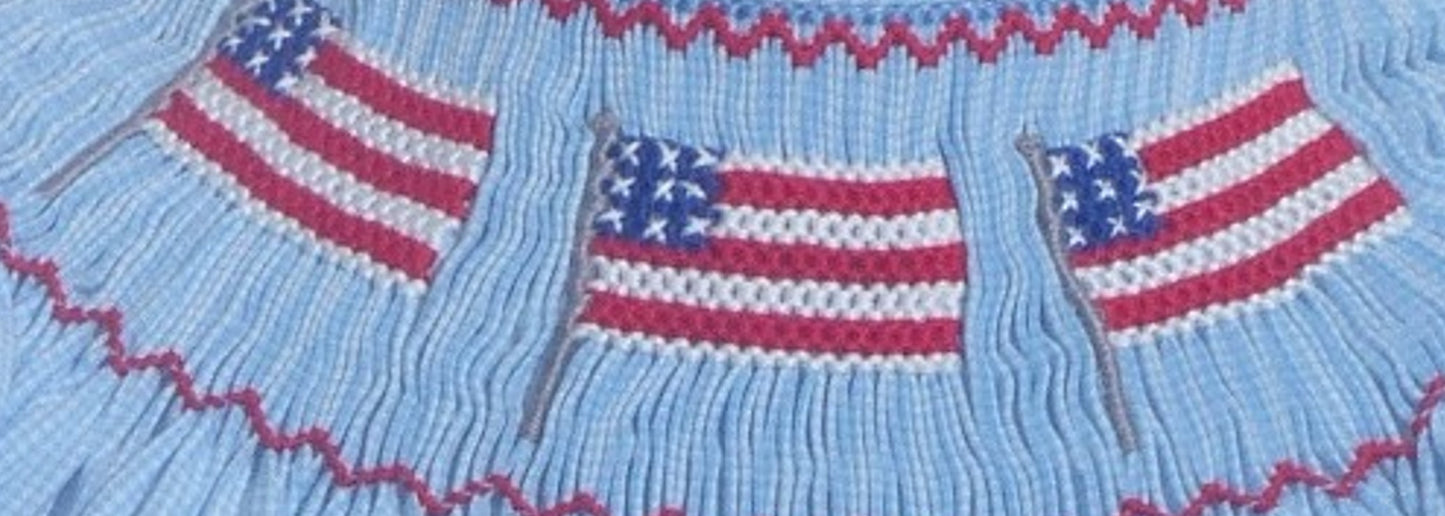 Blue Gingham Flag Angel Wing Sleeve Bishop Dress