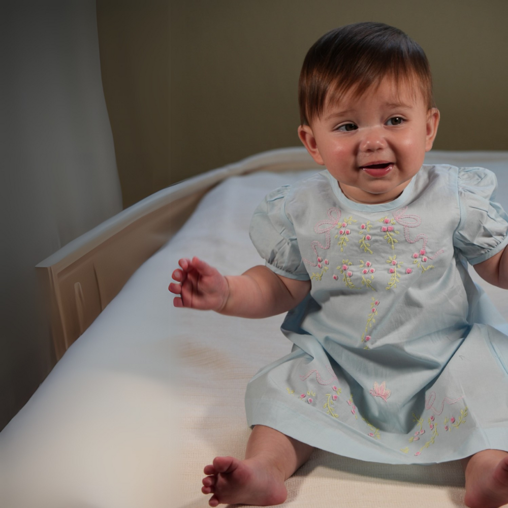 Roses Embroidered Blue Short Sleeve Dress