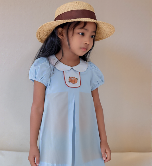 Blue Peter Pan Collar Pleated Dress With PUMPKIN embroidered