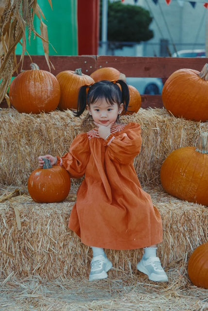 Orange Corduroy Geo Smocked Long Sleeve Bishop Dress